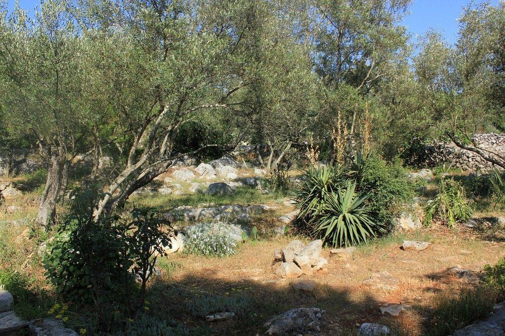 Secluded Fisherman'S Cottage Cove Magrovica - Telascica, Dugi Otok - 8142 Sali Exteriör bild